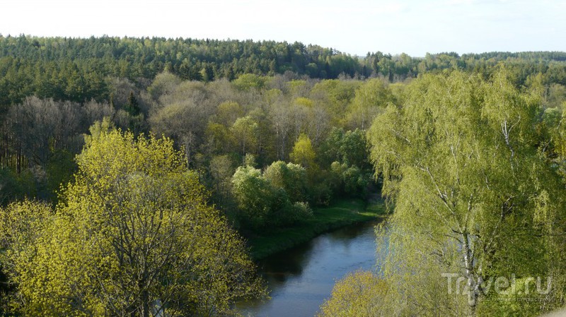 Тропа по верхушкам деревьев в Литве / Литва