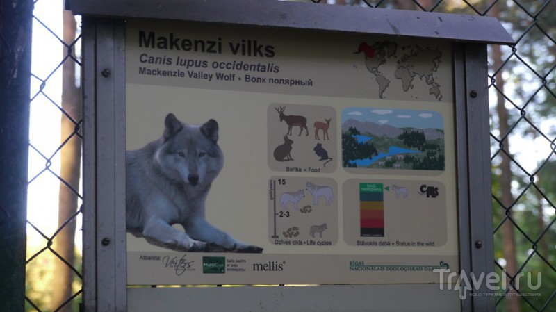 Прогулка по Рижскому Зоопарку / Латвия