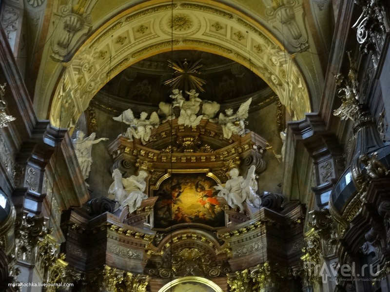 Михаэльплац, четыре церкви, одна золотая пчела и много мишек в стиле ретро - это всё Вена / Австрия