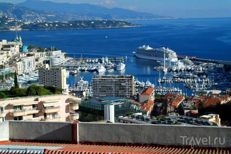 Монако - Виды на страну с горы и ботанический сад / Фото из Монако