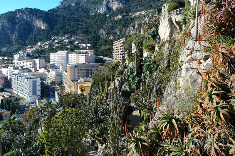 Монако - Виды на страну с горы и ботанический сад / Фото из Монако