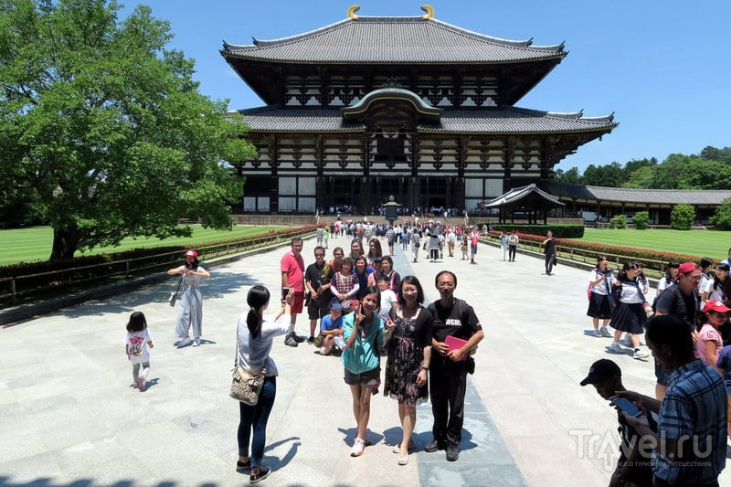 Нара - древняя столица Японии, и ручные олени / Фото из Японии