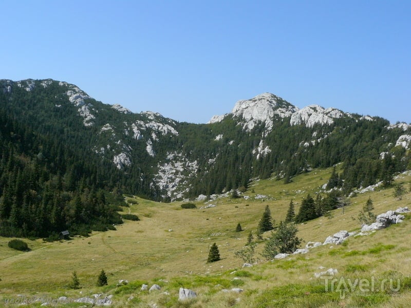 Словения - Хорватия без городов. Лошади в горах Северного Велебита / Фото из Хорватии