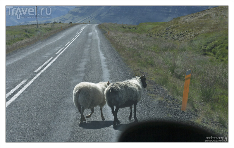 Кемпер-путешествие по Исландии, и кусочек Гренландии / Фото из Исландии