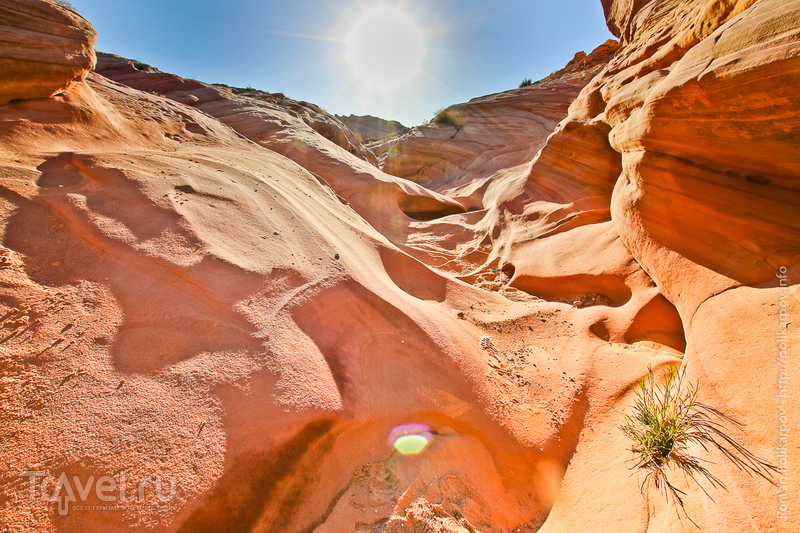 Fire valley   - /   
