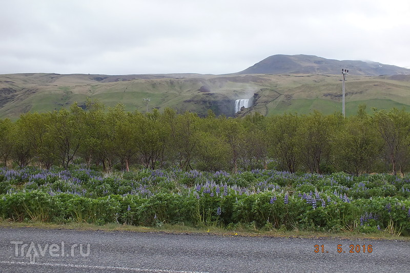 Исландия. Национальный парк Тингведлир, гейзеры и водопады / Исландия