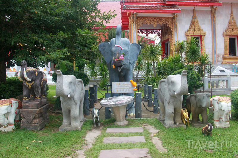 Обзорная по Пхукету: храм Чалонг и Большой Будда / Фото из Таиланда