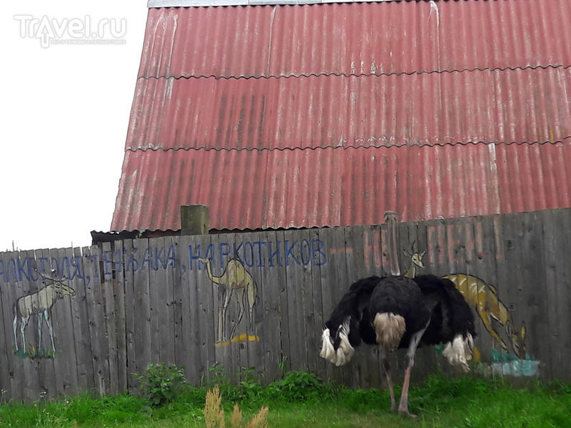 Мосар - "белорусский Версаль" / Белоруссия