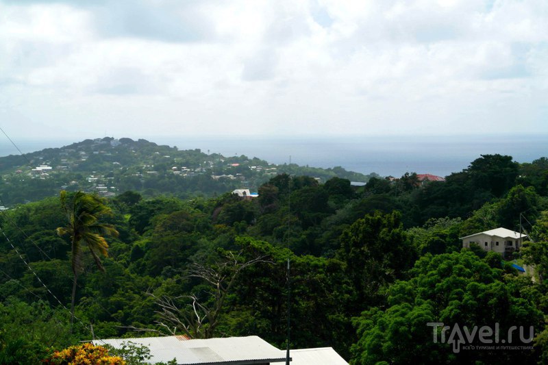 Прогулка по острову Тобаго, Тринидад и Тобаго / Тринидад и Тобаго