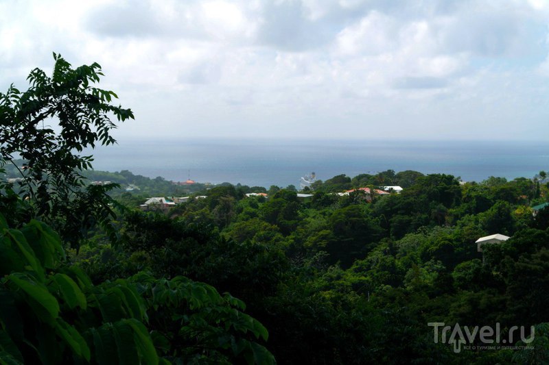 Прогулка по острову Тобаго, Тринидад и Тобаго / Тринидад и Тобаго