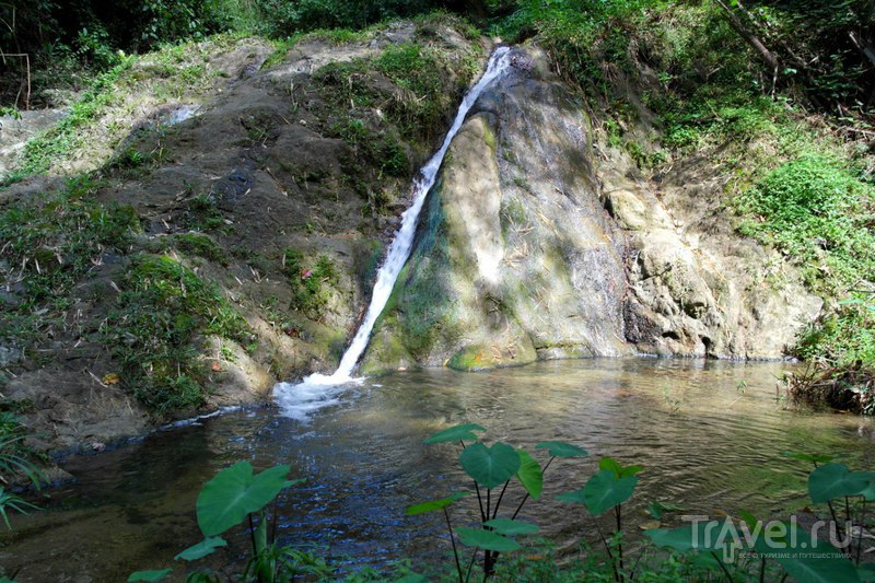 Тобаго - водопад возле Мейсон Холл и пляж Кастара / Фото из Тринидада и Тобаго