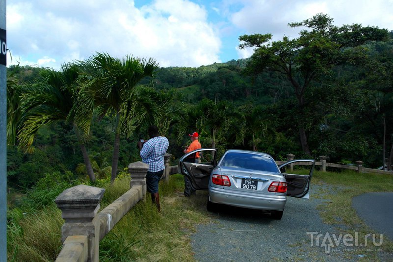 Тобаго - водопад возле Мейсон Холл и пляж Кастара / Фото из Тринидада и Тобаго
