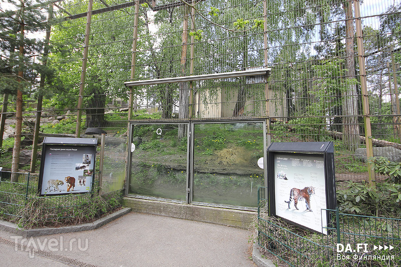Коркеасаари - зоопарк в Хельсинки / Фото из Финляндии