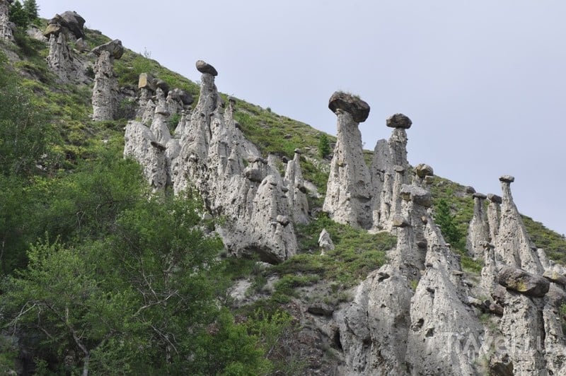 Улаган. Перевал Кату-Ярык. Долина Чулышмана. Каменные грибы / Россия