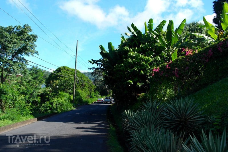 Гренада - Пешеходная прогулка до водопадов Аннандейл Фолс / Гренада