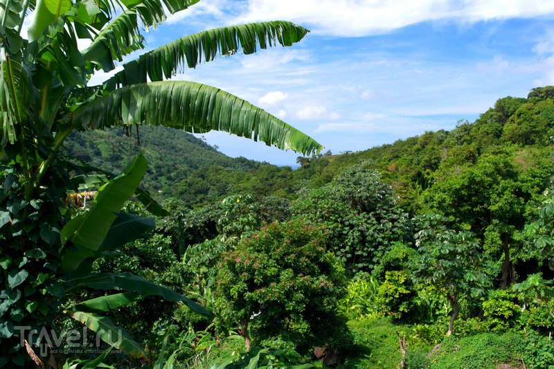 Гренада - Возвращение в столицу по закрытой дороге / Гренада