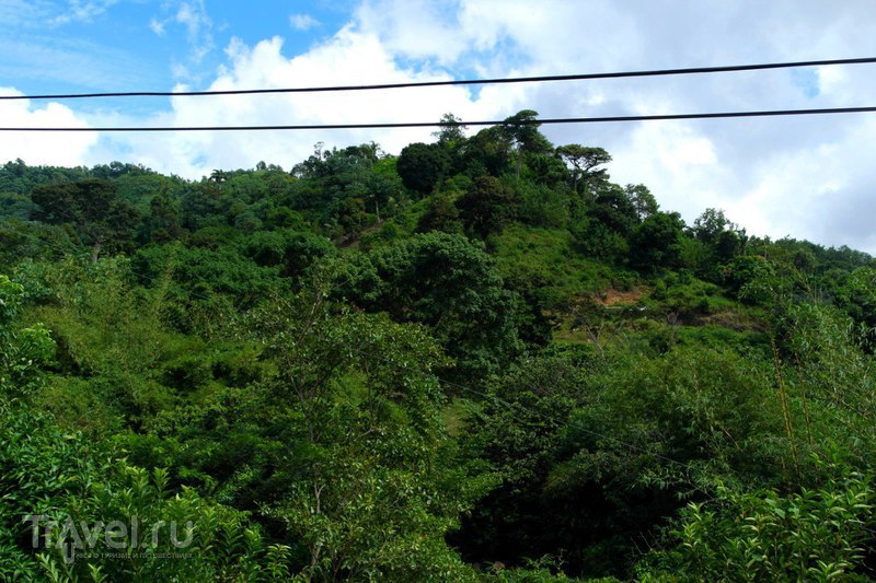 Гренада - Возвращение в столицу по закрытой дороге / Гренада