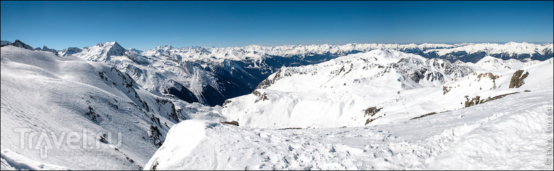 Страшные обитатели альпийских ледников / Фото из Франции