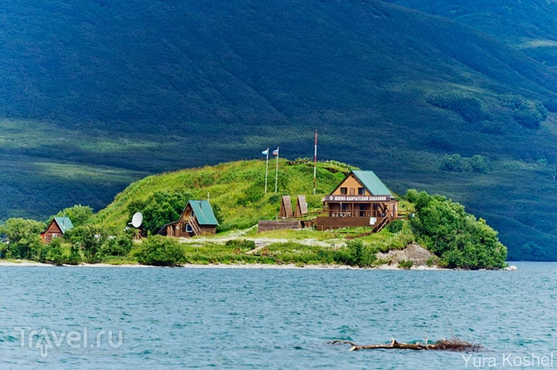 Камчатка. Медведи Курильского озера / Фото из России