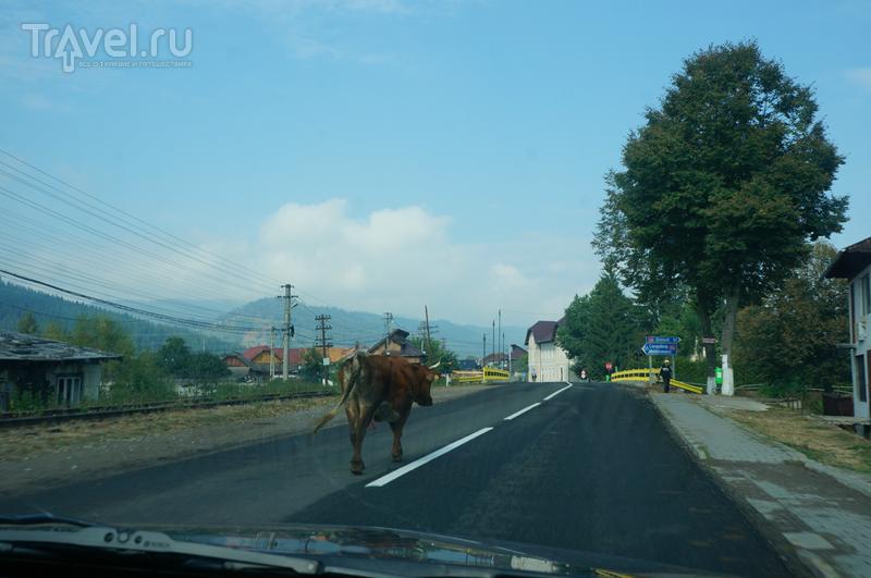 Как мы колесили по Балканам. Румыния / Румыния