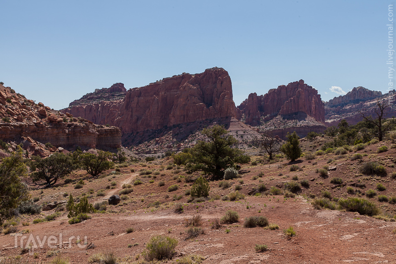 США. Национальный парк Capitol Reef / Фото из США