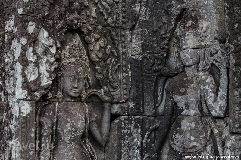 Bayon:     /   