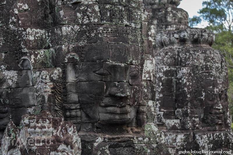 Bayon:     /   