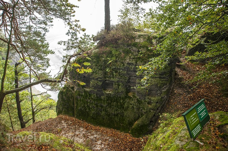 Nationalpark Sächsische Schweiz / 