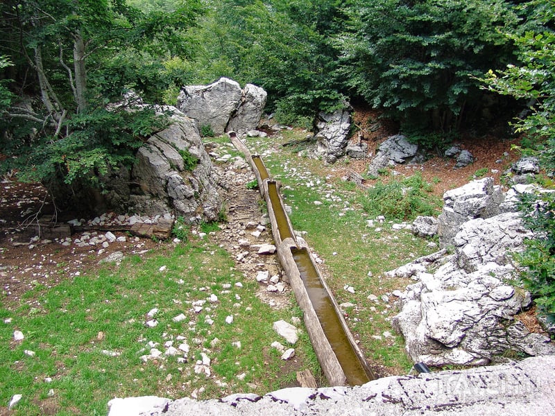 Панорамный маршрут Круг около Корыт (Черногория) / Фото из Черногории