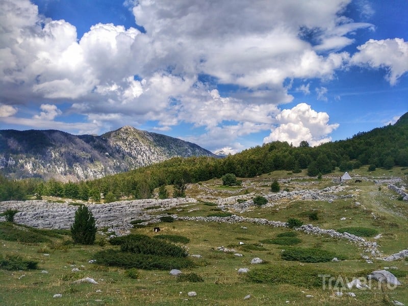 Панорамный маршрут Круг около Корыт (Черногория) / Фото из Черногории