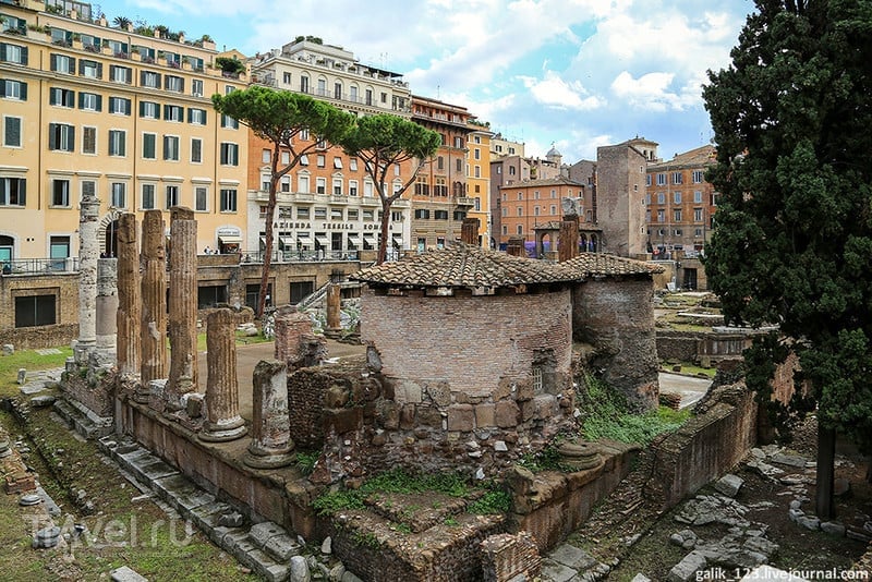 Площадь Торре Арджентина в Риме / Фото из Италии