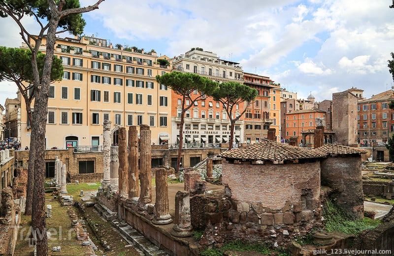 Площадь Торре Арджентина в Риме / Фото из Италии