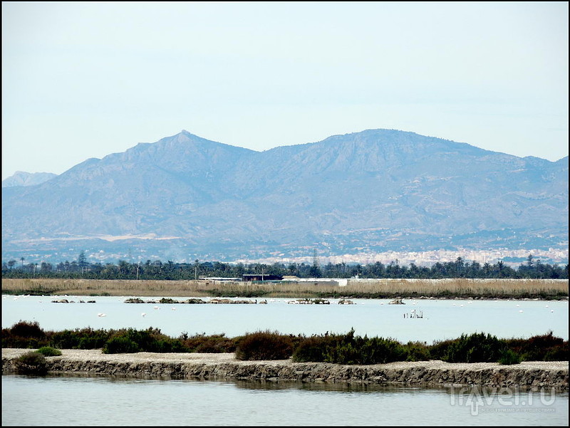 Salinas de Santa Pola.  / 