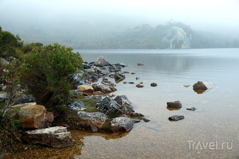 Австралия островная: Тасмания / Фото из Австралии