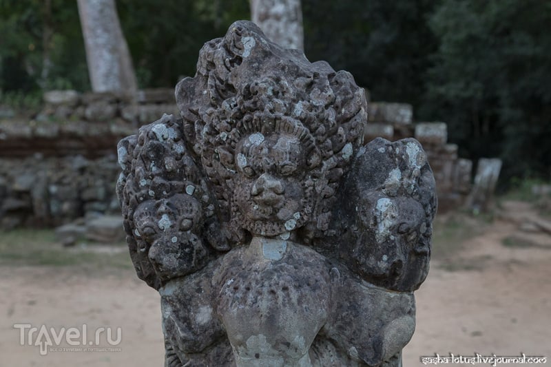      Ta Prohm /   