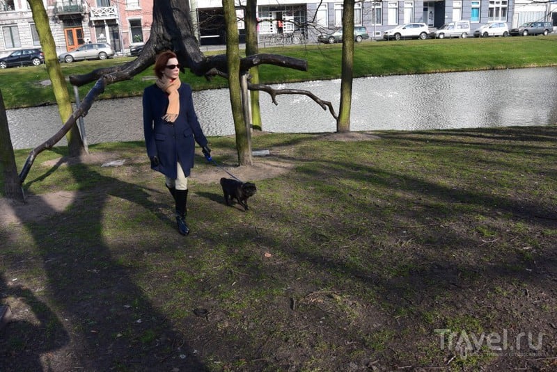 Скульптурные прогулки по Роттердаму. От Родена до Великана / Нидерланды