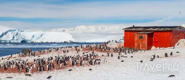 Антарктида / Фото из Антарктики
