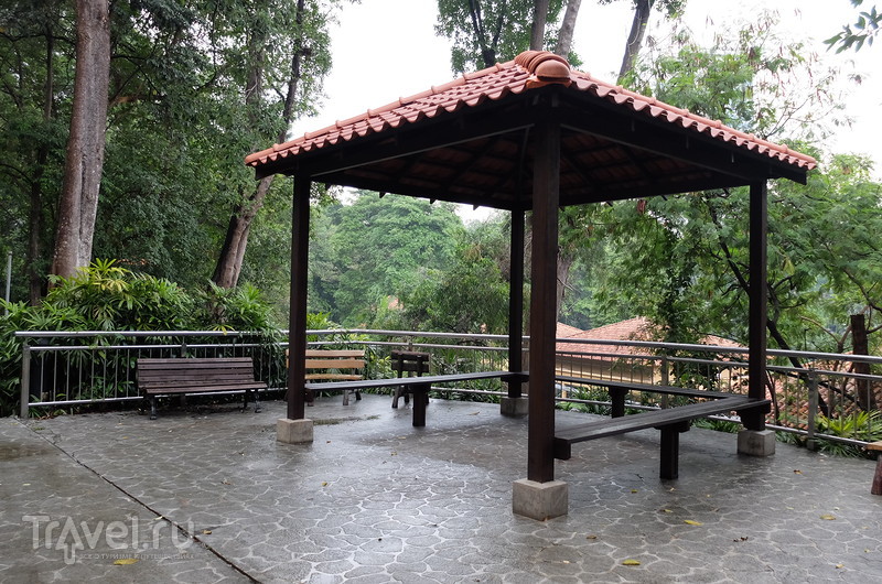 Парк  птиц в Куала-Лумпуре / Малайзия