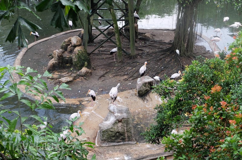 Парк  птиц в Куала-Лумпуре / Малайзия