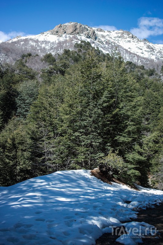 Прогулка по Altos de Licray, Chile / Фото из Чили