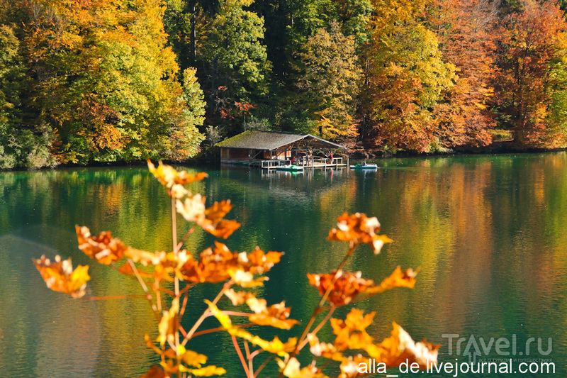    Alpsee / 