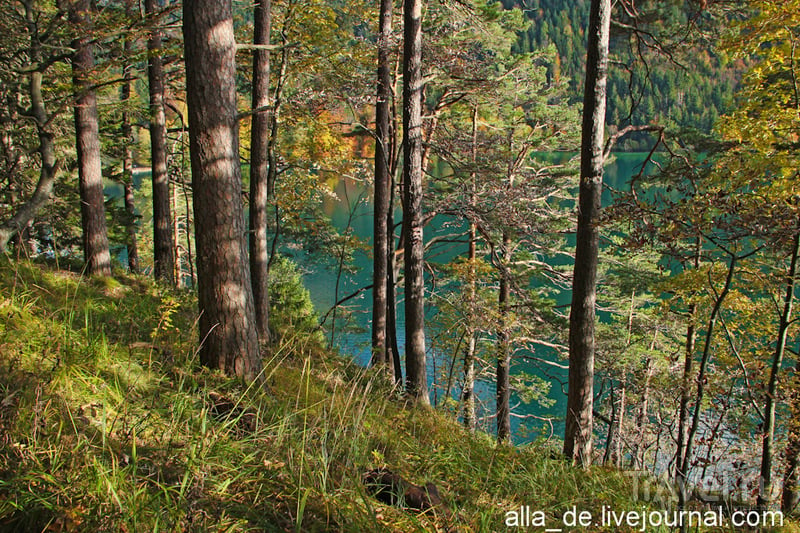 Осень на озере Alpsee / Германия