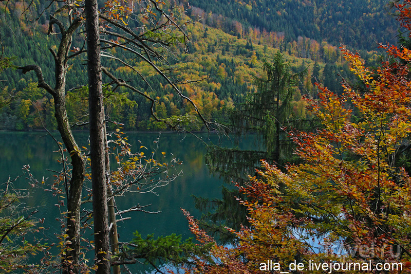    Alpsee / 