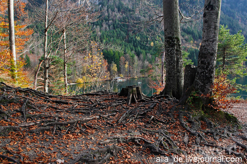    Alpsee / 