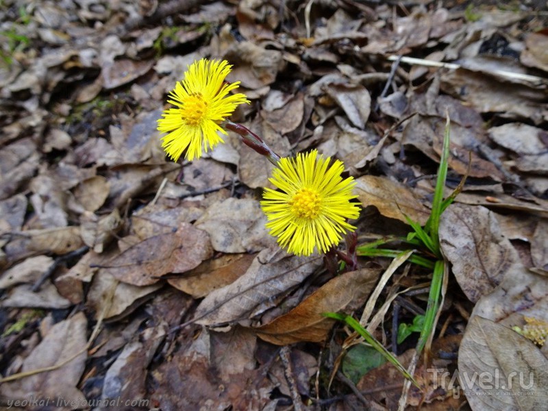 Весна в Апусени. Путешествие в Затерянный мир (Lumea Pierduta) / Фото из Румынии