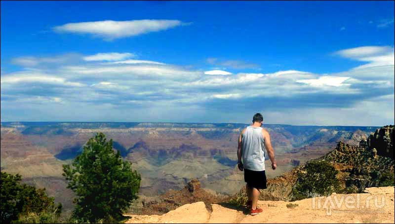 Grand Canyon  /   