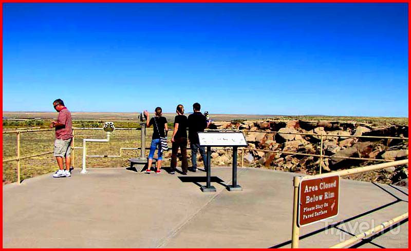 . Petrified Forest Park /   