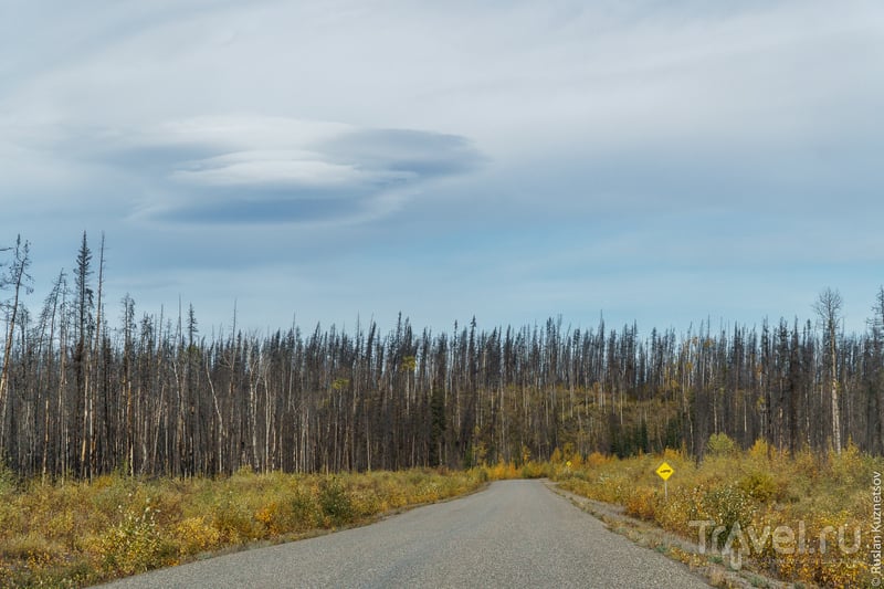 Дорога на Аляску / Фото из Канады