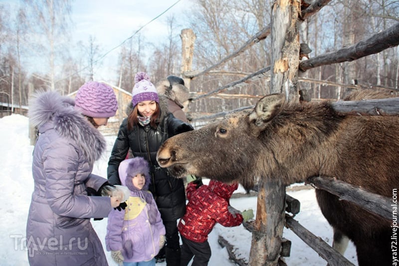 Десять причин посетить Тюмень в новогодние каникулы / Россия