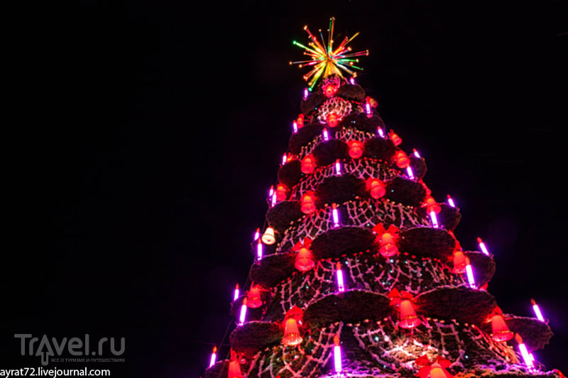Десять причин посетить Тюмень в новогодние каникулы / Россия